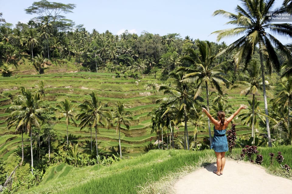 Ubud: Monkey Forest, Rice Terrace & Tanah Lot Tour